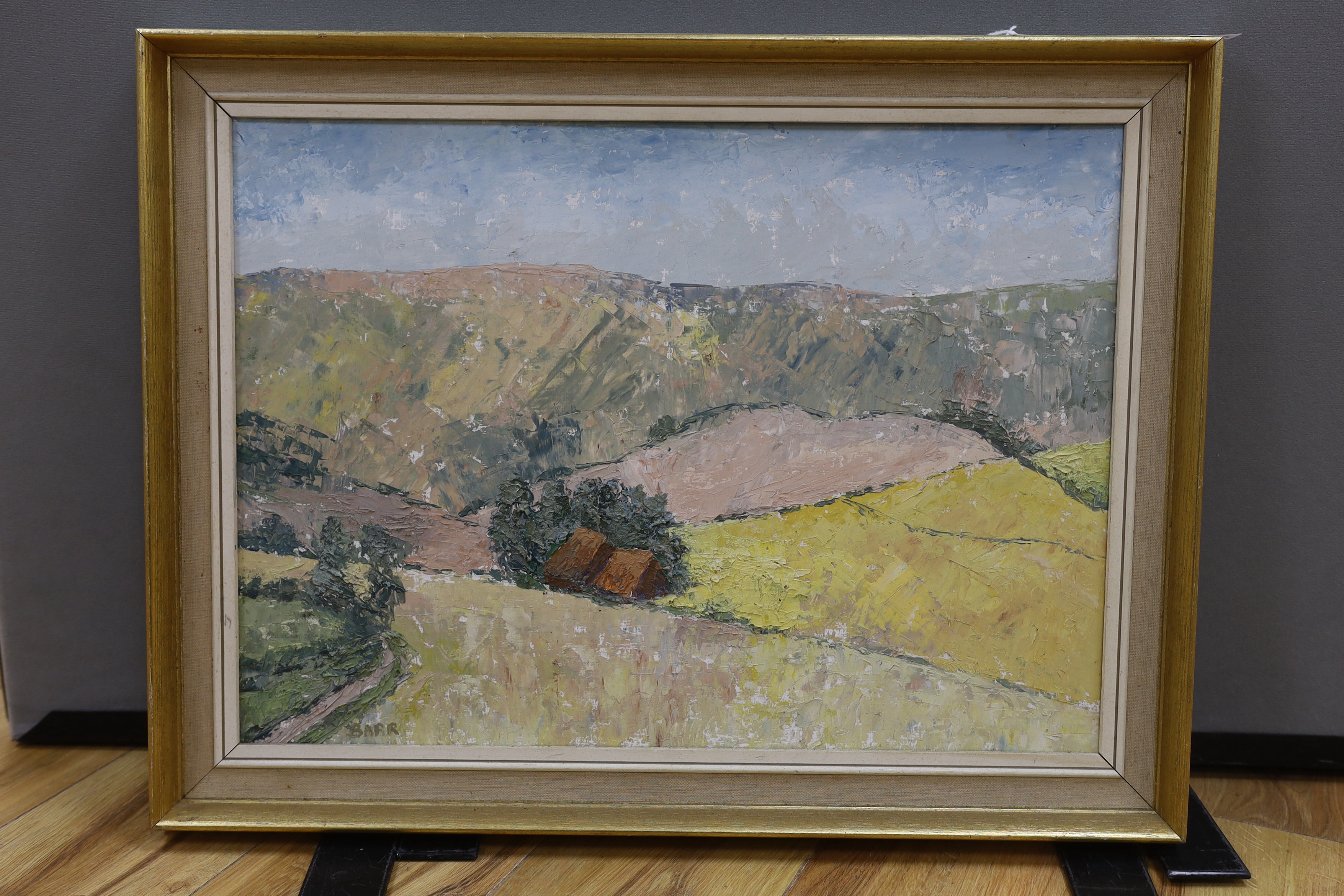 Barr, Impasto oil on board, country view and downs, signed, 54cm x 39cm